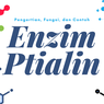 Enzim Ptialin: Pengertian, Fungsi, dan Contohnya