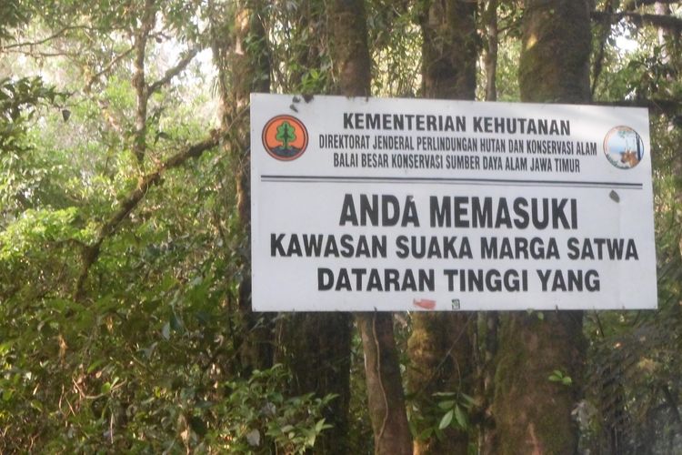 Foto: Balai Konservasi Sumber Daya Alam (BKSDA) Provinsi Jawa Timur memperpanjang penutupan wisata pendakian di Kawasan Suaka Marga Satwa Dataran Tinggi Yang atau di Pegunungan Argopuro. 