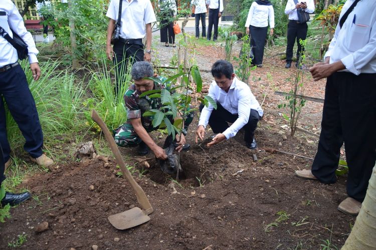 KPPS menanam pohon di Kelurahan Mersi, Kecamatan Purwokerto Timur, Kabupaten Banyumas, Jawa Tengah, Kamis (25/1/2024).