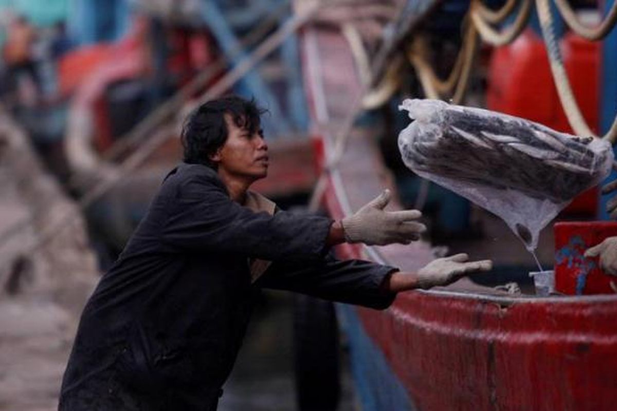 Anak buah kapal membongkar muatan ikan beku dari kapal di Pelabuhan Muara Angke, Jakarta, Jumat (11/1/2013). Kementerian Kelautan dan Perikanan merilis produksi perikanan tangkap tahun 2012 sebanyak 5,81 juta ton setara dengan Rp. 73,01 triliun atau naik 7,3 persen dibandingkan dengan realisasi tahun 2011 sebesar 5,41 juta ton.
