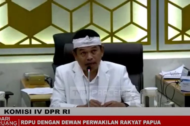 Dedi Mulyadi pimpin Rapat Dengar Pendapat Umum (RDPU) Komisi IV DPR RI dengan DPR Papua dan aktivis di Gedung DPR RI, Rabu (1/2/2023).