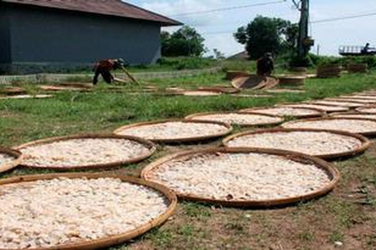 Sejumlah warga di Desa Kenanga, Kecamatan Sindang, Kabupaten Indramayu, Jawa Barat, bekerja mengeringkan kerupuk udang di sebuah pabrik beberapa waktu lalu. Pemerintah diminta memiliki keberpihakan terhadap pengembangan ekonomi kelautan.