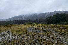 IHSG Rawan Terkoreksi, Berpeluang Uji Area 8.493 Hari Ini