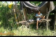 Cerita Pelajar di NTT, Belajar Sambil Usir Burung yang Mengintai Padi di Sawah