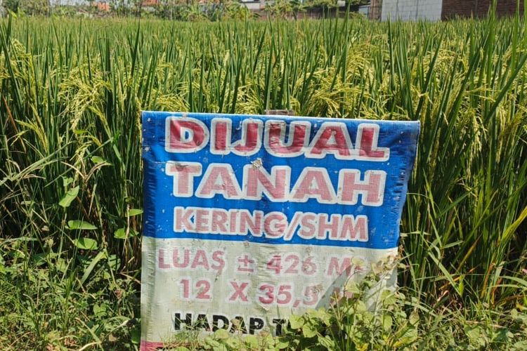 Mengenal SHM, Sertifikat Tanah dengan Hak Kepemilikan Paling Penuh