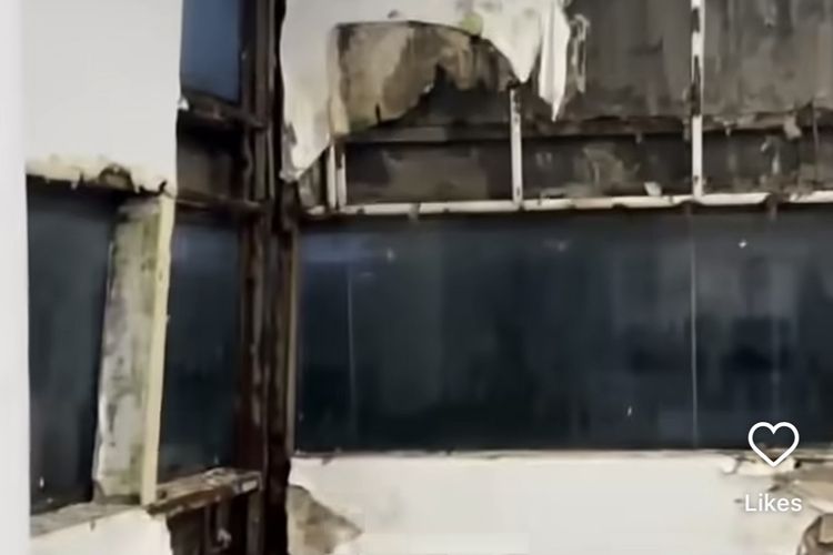 Viral Video Perpustakaan Pusat UI Tak Terawat, Lantai Berlumut hingga Dinding Rusak
