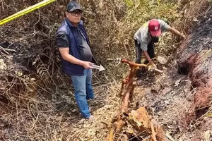 Adik-Kakak di Banyuasin Ditemukan Tinggal Kerangka Usai 5 Tahun Hilang, Pelaku Sempat Pura-pura Ikut Cari Korban