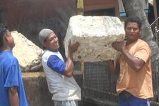 Harga Karet Cuma Rp 5.100 Per Kg, Petani Menjerit