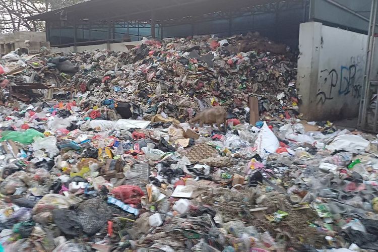 Tumpukan Sampah di Rusun Waduk Pluit Ditargetkan Selesai Diangkut 7-10 Hari