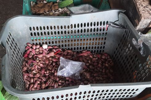 Pedagang Sebut Daya Beli Masyarakat Turun Imbas Harga Cabai Rawit Merah dan Bawang Merah di Pasar Kramatjati Naik Tajam