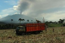 Tinggi Debu Vulkanik 1 Km, Bandara Blimbingsari Masih Ditutup