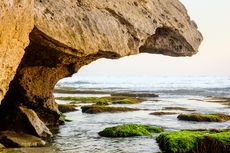 Pantai Sanglen Gunung Kidul, Pantai Pasir Putih untuk Kemah 