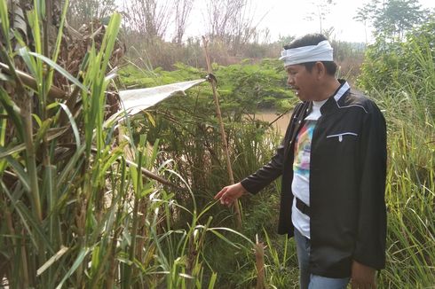 Komisi IV DPR Panggil Eks Mentan Amran Sulaiman soal Data Lahan Baku Sawah