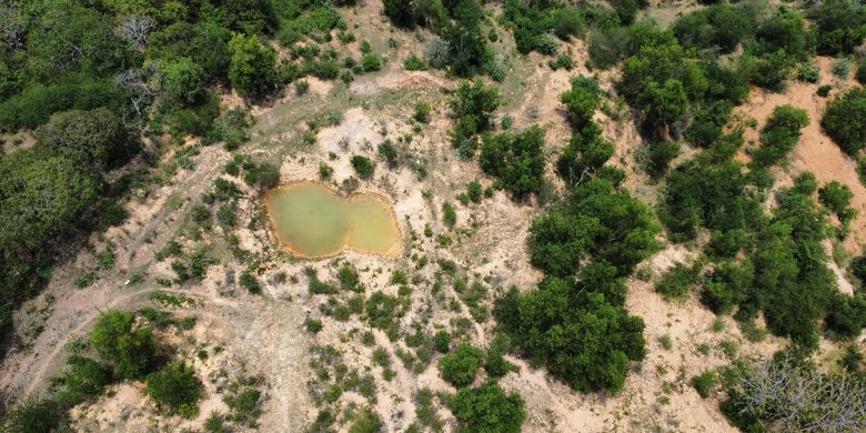 Kementerian Kehutanan melalui Ditjen Gakkum Kehutanan (Gakkumhut) mengambil tindakan tegas menanggapi isu Pertambangan Tanpa Izin (PETI) di sekitar Mandalika, NTB dengan memperketat pengawasan, memasang papan peringatan di TWA Gunung Prabu, dan menyiapkan langkah penegakan hukum bersama aparat penegak hukum. Untuk titik di luar kawasan hutan (Areal Penggunaan Lainnya/APL), Ditjen Gakkumhut berkoordinasi dengan dinas/instansi terkait serta unit teknis pertambangan guna memastikan penanganan lintas kewenangan berjalan efektif.

Balai Gakkumhut Wilayah Jabalnusra telah melakukan penelusuran lapangan pada Minggu, 25 Oktober 2025. Titik yang diduga tambang ilegal berada di Desa Prabu, Kecamatan Pujut, Lombok Tengah, sekitar 11 km (±30 menit) dari Sirkuit Mandalika. Verifikasi awal menunjukkan tambang rakyat di APL ±4 hektare yang berbatasan dengan Taman Wisata Alam (TWA) Gunung Prabu.