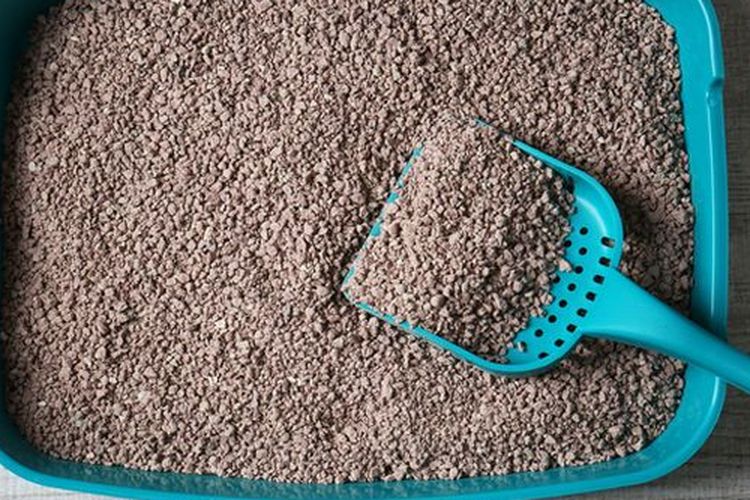 Ilustrasi pasir kucing.