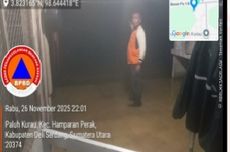 Fakta Perkebunan Kelapa Sawit di Papua: Luasnya Hampir 4 Kali Jakarta