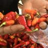 Terus Naik, Harga Cabai Rawit Merah Tembus 120.000/Kg
