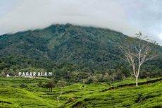 Desa Wisata Tebet Lereh di Sumatera Selatan, Andalkan Panorama Alam