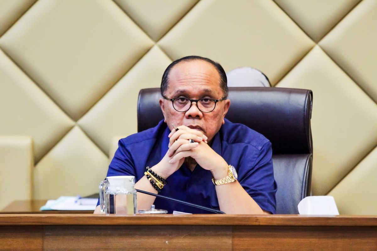 Wakil Ketua Komisi II DPR Junimart Girsang.