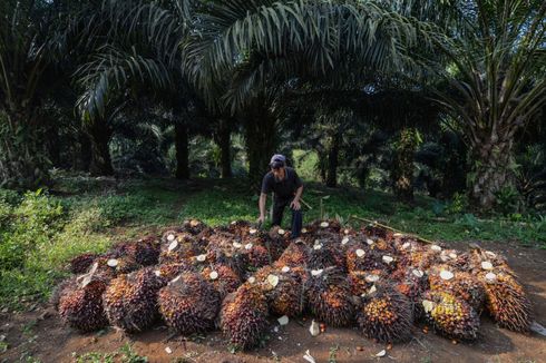 Pemasok Diajak Bangun Citra Positif Industri Sawit