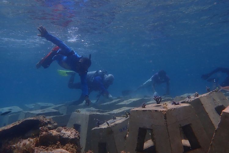 konservasi terumbu karang di Kepulauan Seribu