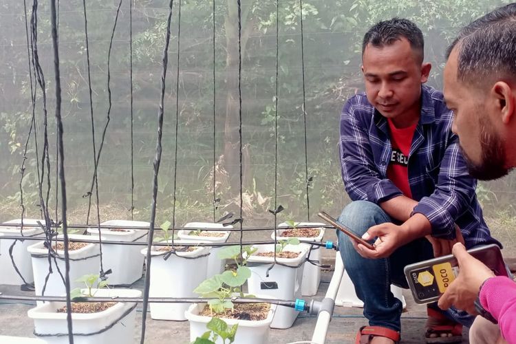 Rakhmat Hardiyanto (38) menggunakan teknologi pertanian yang diyakininya dapat meningkatkan produktivitas jambu kristal