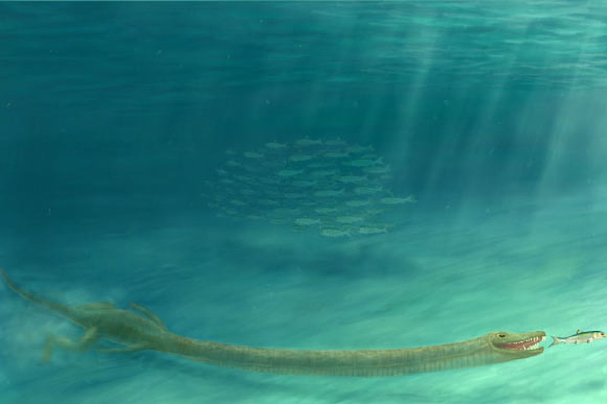 Ilustrasi reptil purba dari genus Tanystropheus, memiliki leher yang panjangnya tiga kali lipat panjang tubuhnya.
