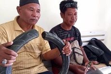 Tili, Penakluk Buaya Berkalung Ban, Ditawari Jadi Honorer Khusus Penyelamat Satwa di Pemkot Palu