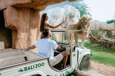 “Family Time” di Bali Zoo Gianyar: Harga Tiket, Jam Buka, dan Daya Tariknya