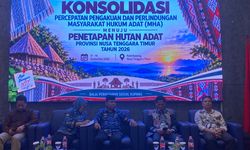 Pemerintah Dorong Percepatan Pengakuan 3 Hutan Adat di NTT, Ini Daftarnya