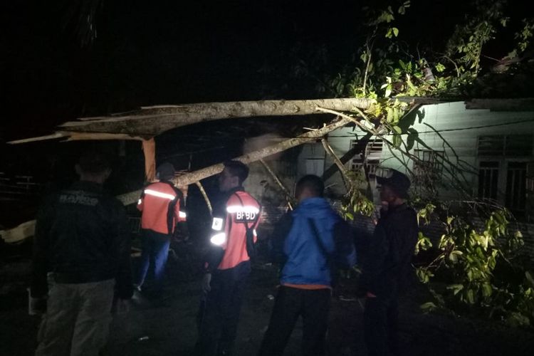 Petugas mengangkat pohon yang tumbang dan menimpa rumah di Asahan. Angin puting beliung disertai hujan deras menerjang sejumlah rumah di setidaknya tiga desa di Asahan, Selasa malam (10/9/2019).