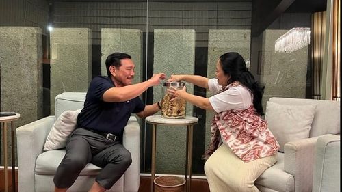 Puan Bertemu Luhut, PDI-P: Mengukur Sebuah Sikap