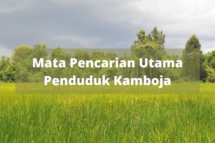 Apa mata pencarian utama penduduk di negara Kamboja? Mata pencarian utama penduduk Kamboja adalah sebagai petani.