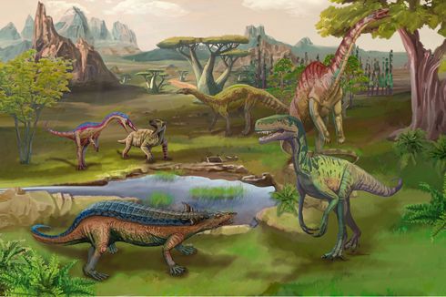 Periode Waktu Dinosaurus Hidup, Berhubungan dengan Terbentuknya Benua