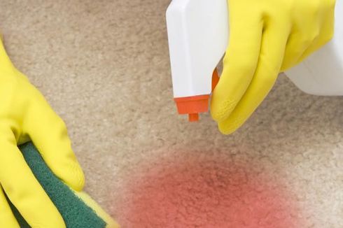 3 Cara Praktis dan Mudah Menghilangkan Noda Darah di Karpet