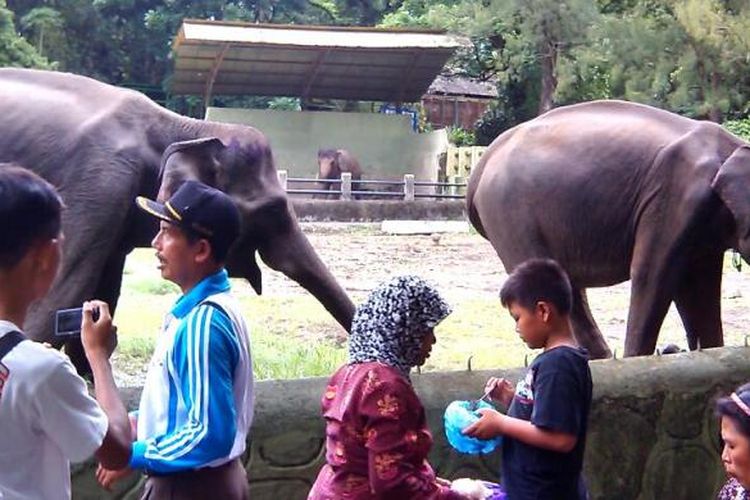 Shinta dan Natasya saat berada di kebun binatang Gembira Loka