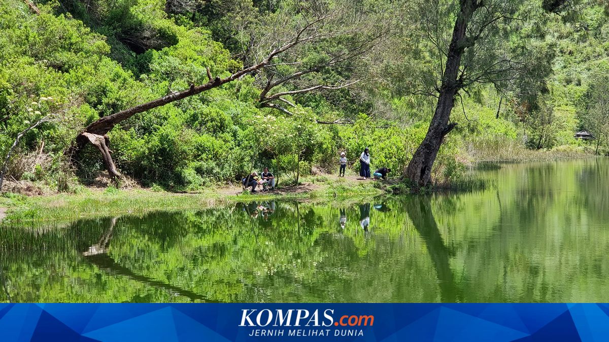 Cara ke Ranu Regulo di Gerbang Pendakian Semeru, Harus Jalan Kaki