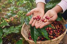 Ketahui, Jenis Olahraga yang Efektif untuk Menjaga Kepadatan Tulang