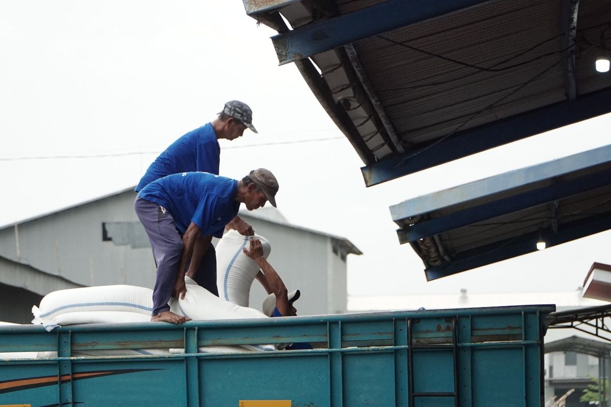 Bulog Kanwil Jatim menyerap 500.000 ton beras sekaligus menyumbang 22 persen dari total pengadaan gabah/beras Bulog di seluruh Indonesia.