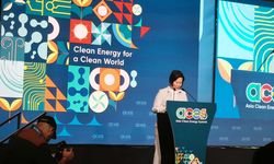 Melihat Upaya Singapura Manfaatkan Energi Terbarukan di Tengah Keterbatasan Lahan