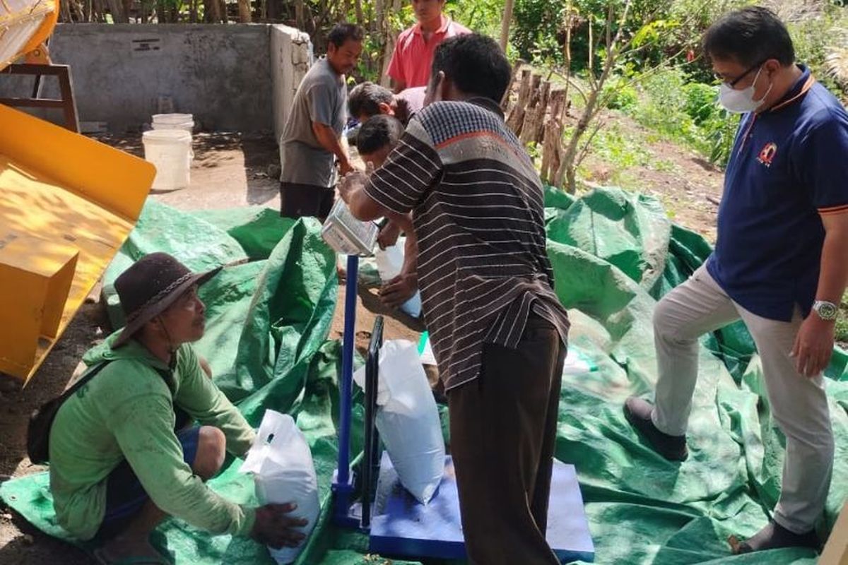 Penerapan teknologi dan inovasi kotoran hewan sebagai pupuk organik. 