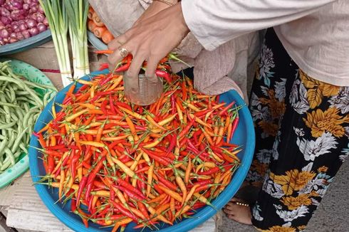 Cabai Rawit di Ambon Rp 110.000/Kg, Disperindag Operasi Pasar