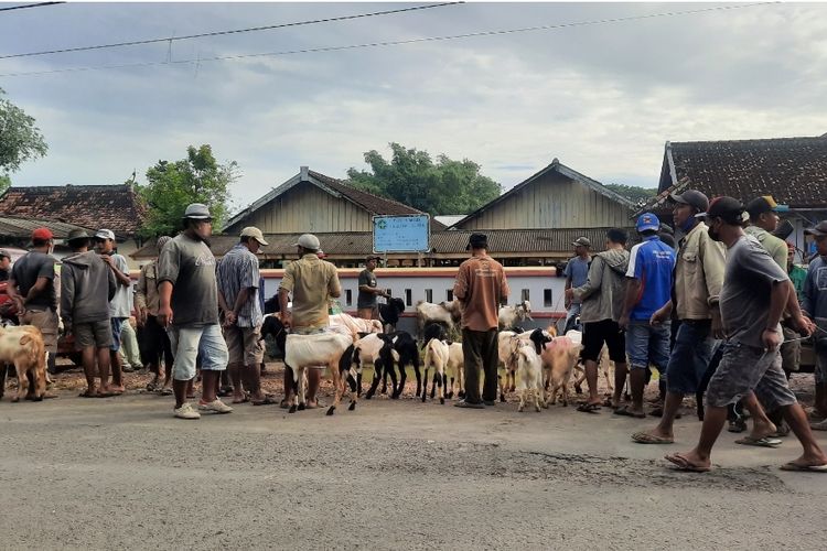 Sejumlah pedagang hewan tetap memperjualbelikan dagangannya di Pasar Pon Blora yang ditutup, Jumat (27/5/2022)