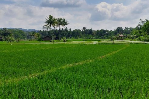 Tapak Hapsari Kota Salatiga, Tempat Wisata Baru yang Asyik untuk Nyore