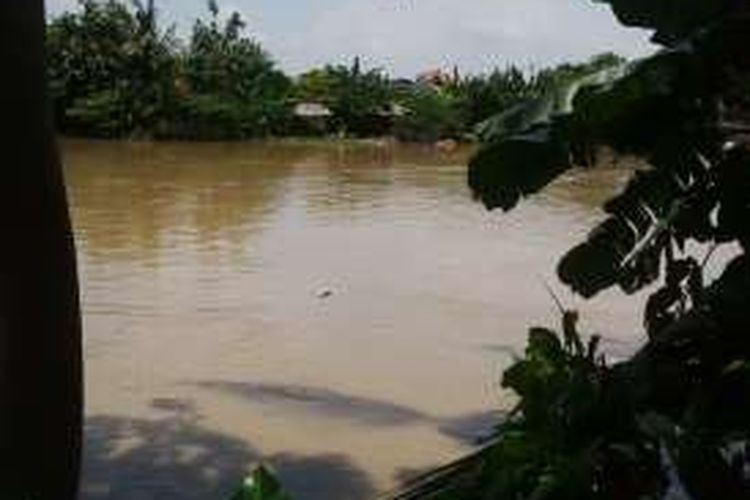 Sungai Kali Surabaya masih normal