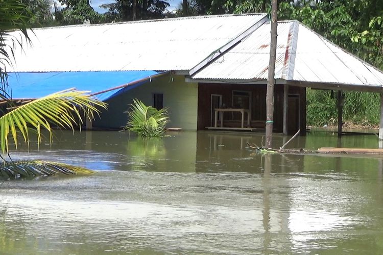 Ratusan rumah terendam akibat tanggul jebol di Sungai Rongkong di Desa Pombakka, Kecamatan Malangke Barat, Luwu Utara, Sulawesi Selatan, sejak 8 hari lalu, hingga saat ini banjir belum surut, aktivitas warga lumpuh, Kamis (02/05/2024).