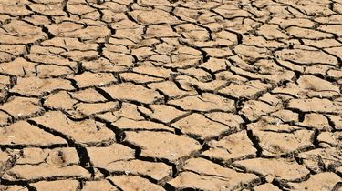 BMKG Prediksi Kemarau 2026 di Jateng Dimulai April, Puncak Agustus