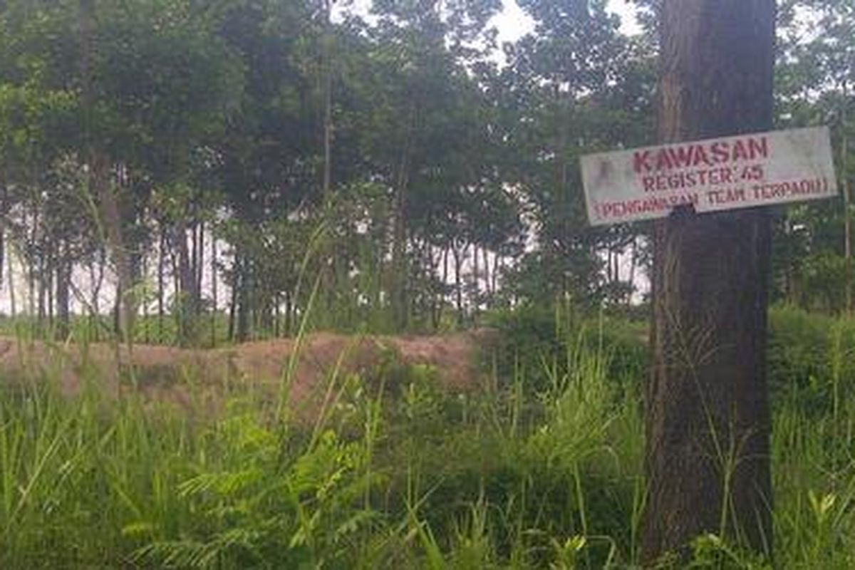 Inilah kawasan konflik agraria di wilayah hutan Register 45 di Sungai Buaya, Mesuji. Wilayah ini diklaim dikuasai PT Silva Inhutani Lampung.