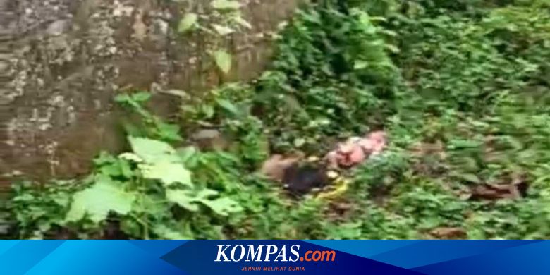 Bayi Perempuan Baru Lahir Ditemukan di Puncak Bogor, Dibungkus Selimut