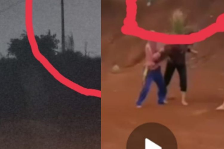 Sebuah unggahan video berujung viral menampilkan adegan sejumlah siswi saling adu jotos di sebuah lapangan tanah merah, Rabu (4/8/2021).